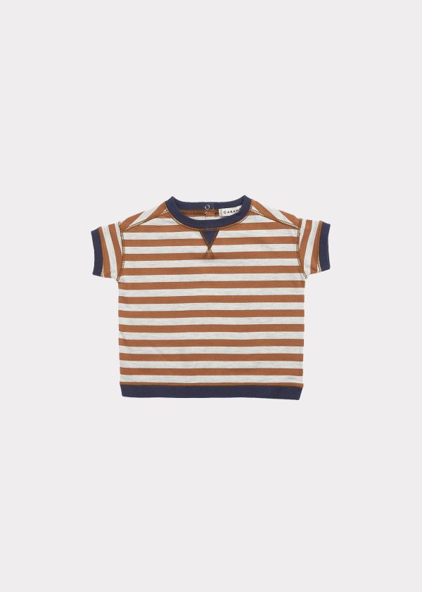 Baby Boys Brown Stripe Cotton T-shirt For Sale