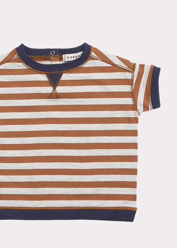 Baby Boys Brown Stripe Cotton T-shirt For Sale