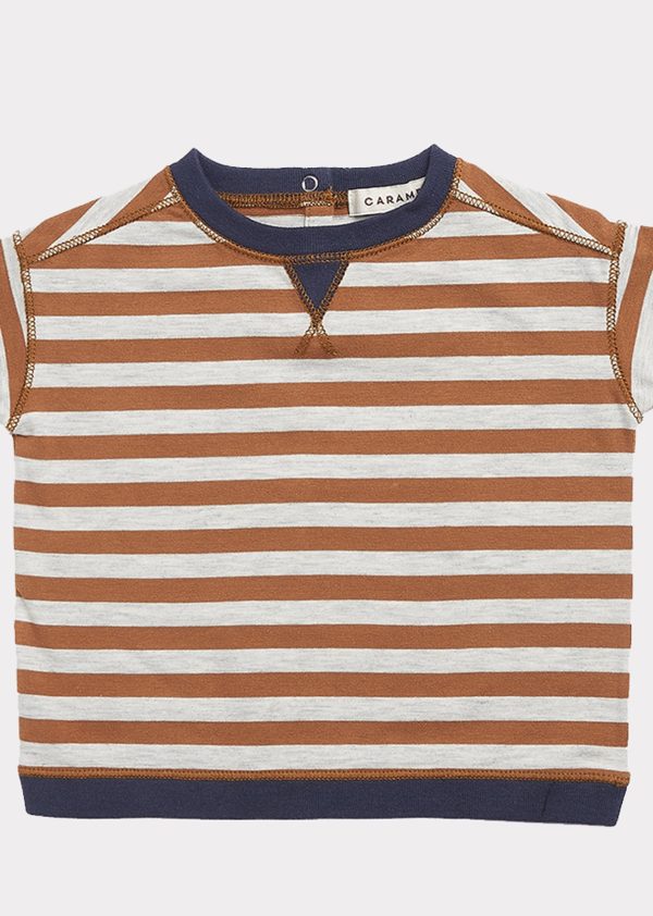 Baby Boys Brown Stripe Cotton T-shirt For Sale