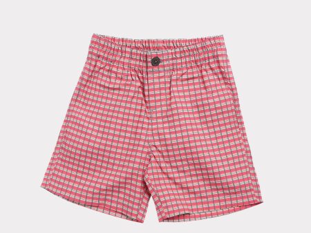 Boys & Girls Pink Painted Check Shorts Fashion