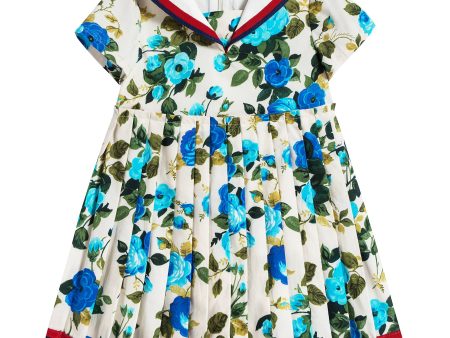 Baby Girls Blue & Ivory Dress Discount