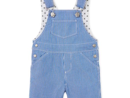 Baby Blue Stripes Shorts For Discount